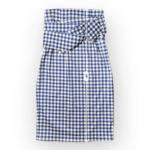 Silvia Tcherassi Blue Gingham Saturnio Skirt Size Small - Picture 5 of 7